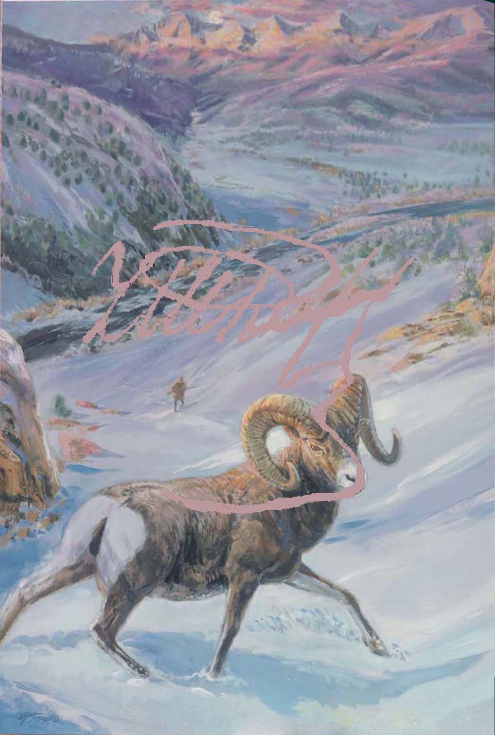 Painting by Ed French Depicting: ‘New Animal’ Bighorn Glory - Cotopaxi