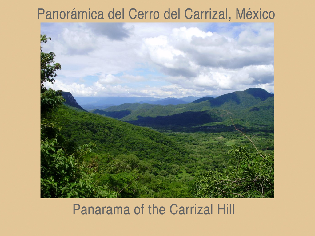 Panorámica del Cerro del Carrizal, México